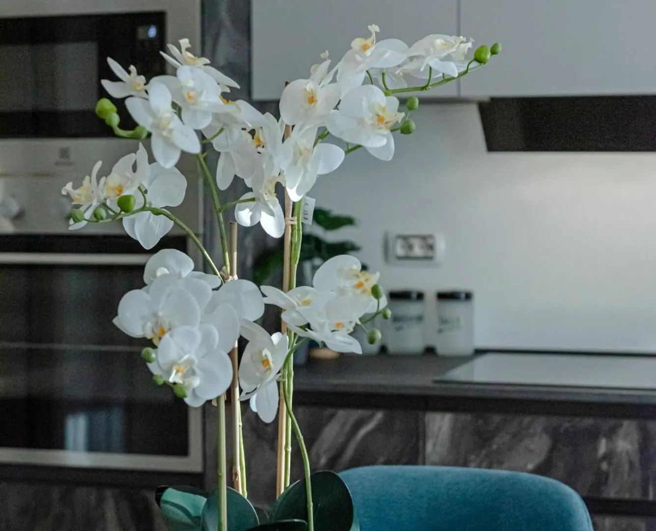 Affittacamere Bed & Breakfast Il Narciso Roma Italia