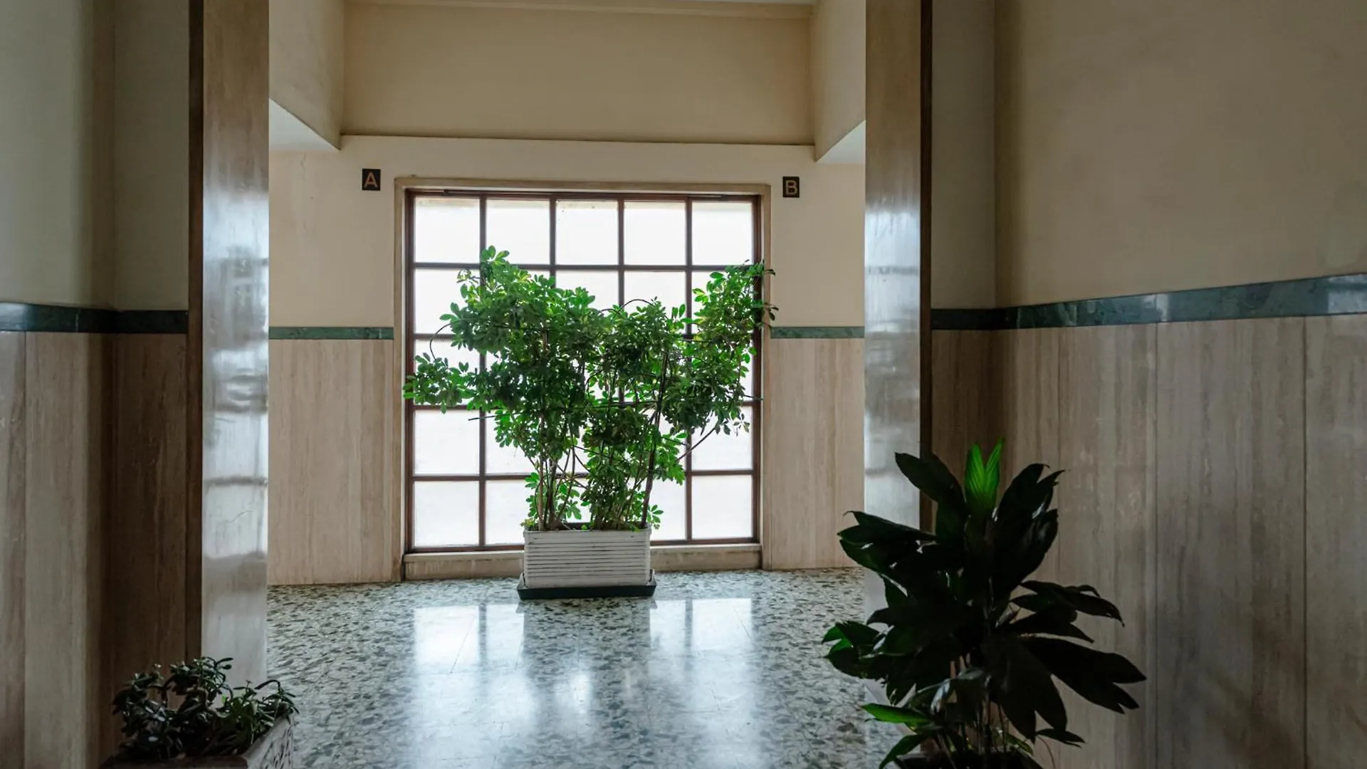 Guest house Bed & Breakfast Il Narciso Rome